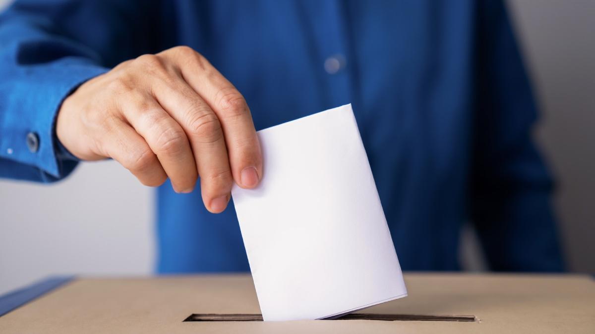Rezultate Exit Poll Alegeri Europarlamentare 2024 PSD PNL 53 procente