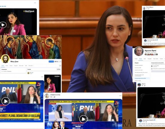 Am gasit boti la POT armata de conturi false care distribuie continutul deputatei Anamaria Gavrila