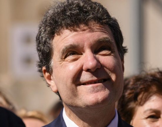 CCR a validat candidatura lui Nicusor Dan la prezidentiale