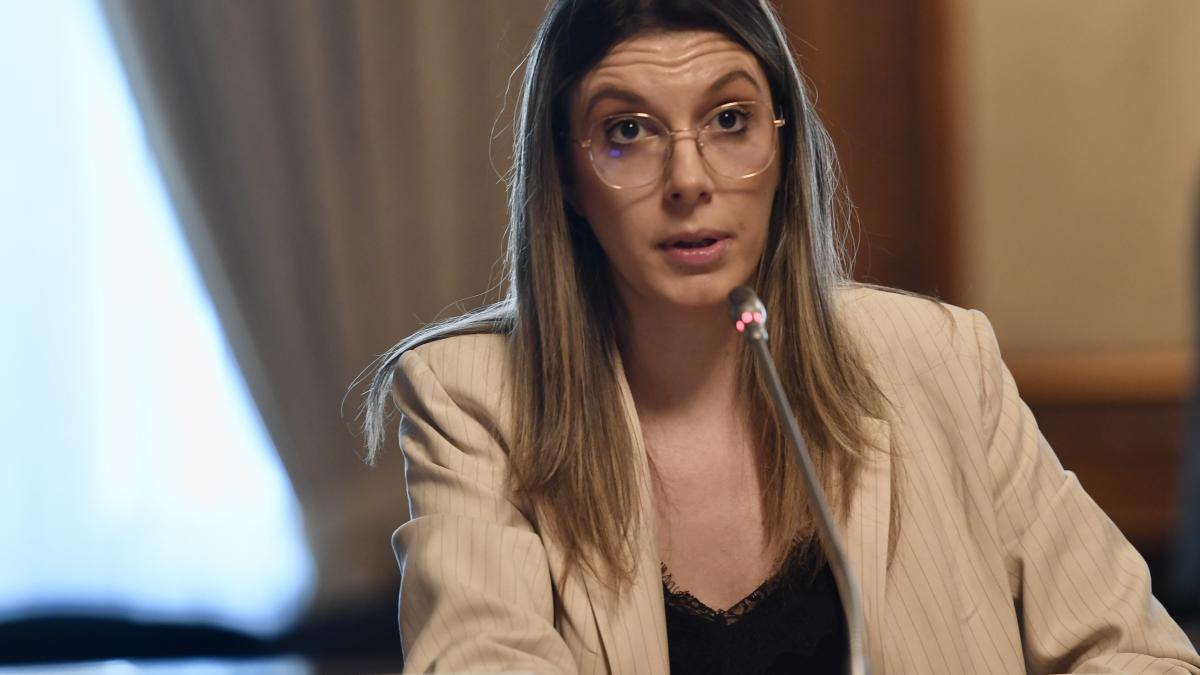 Diana Buzoianu Sefii RA APPS afirma cu tupeu ca nu folosesc bani publici