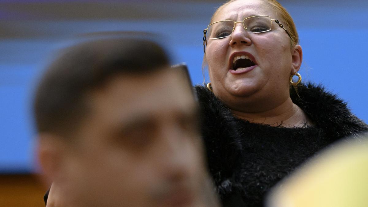Lege anti Sosoaca Agresivii interzisi 1 luna 2 ani in Parlament
