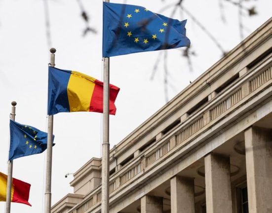 PNL a votat propunerea pentru Secretar General al Guvernului Cristina Traila