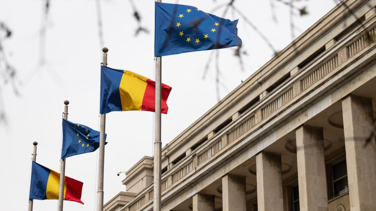 PNL a votat propunerea pentru Secretar General al Guvernului Cristina Traila