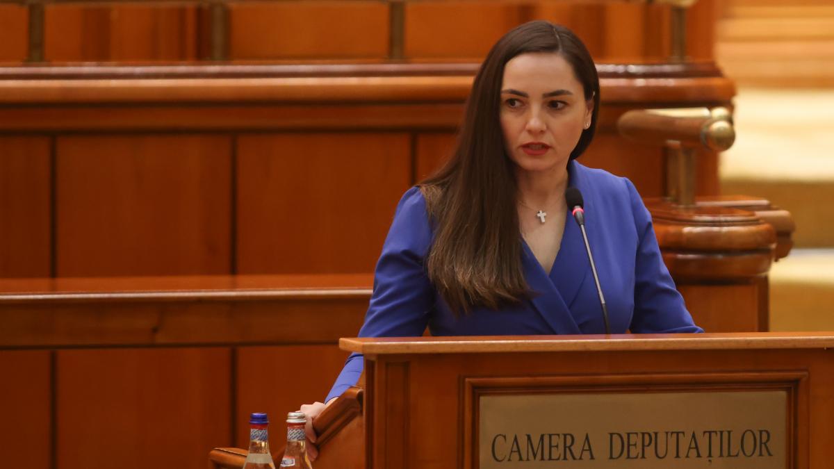 POT a cerut decontarea banilor pentru sampanie AEP verifica partidele