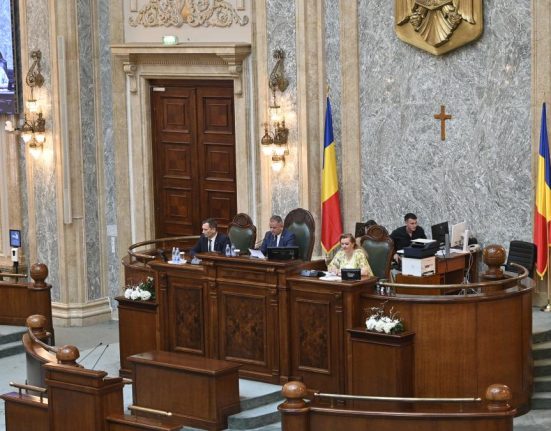 USR se lauda ca a votat motiunea alaturi de AUR SOS si POT