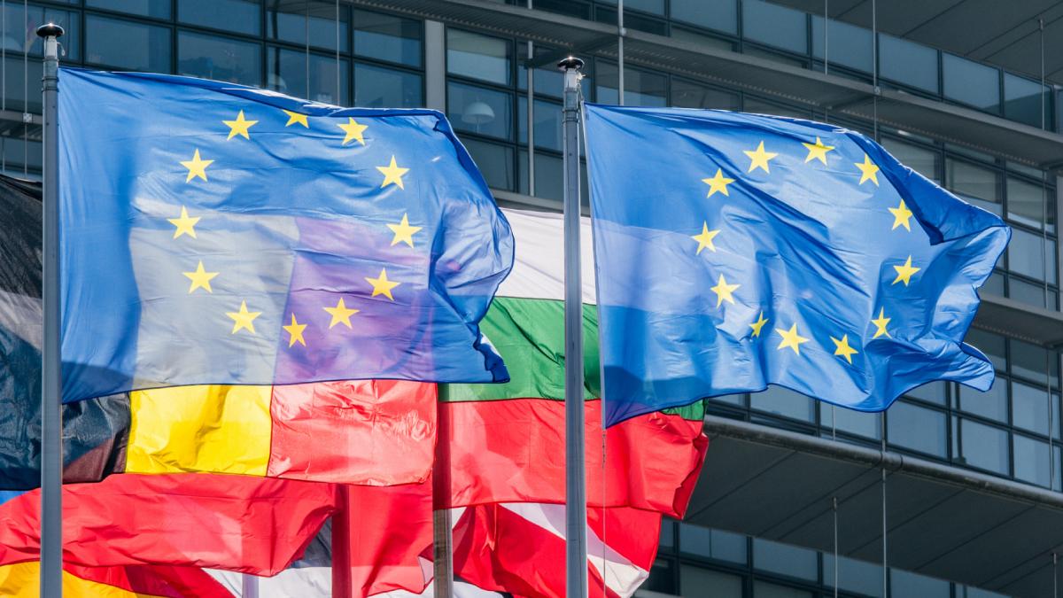 Grupul Renew din Parlamentul European il sustine pe Nicusor Dan Moment pentru unitate