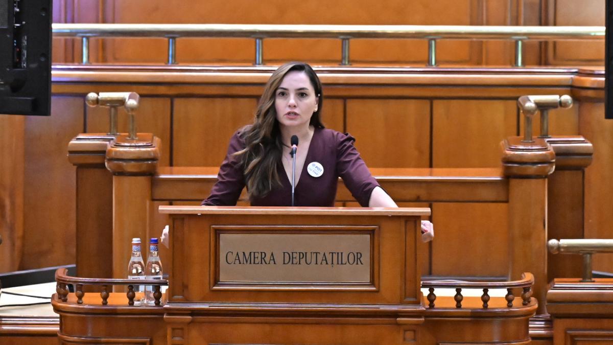 Anamaria Gavrila a creat din nou scandal in Parlament