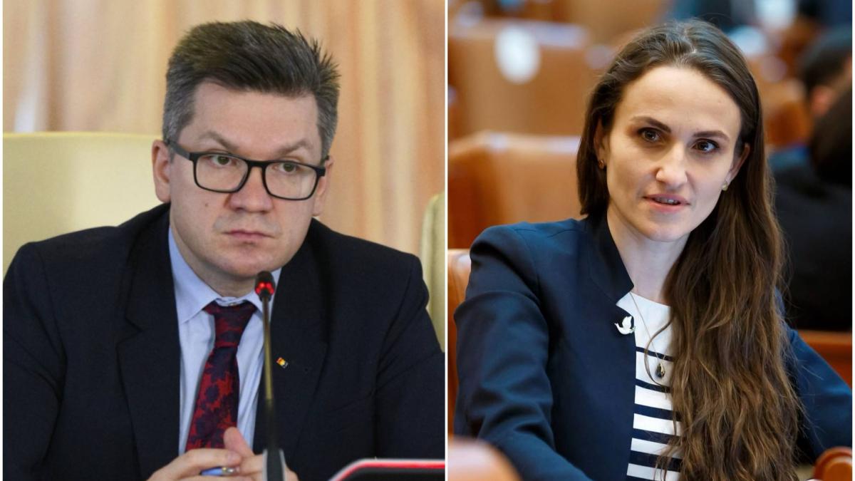 Derapaj inacceptabil Mihail Neamtu ataca o fotografie trucata a Oanei Toiu