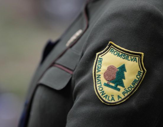 Romsilva despre primele ilegale de 43 milioane euro A fost pentru rezultate exceptionale