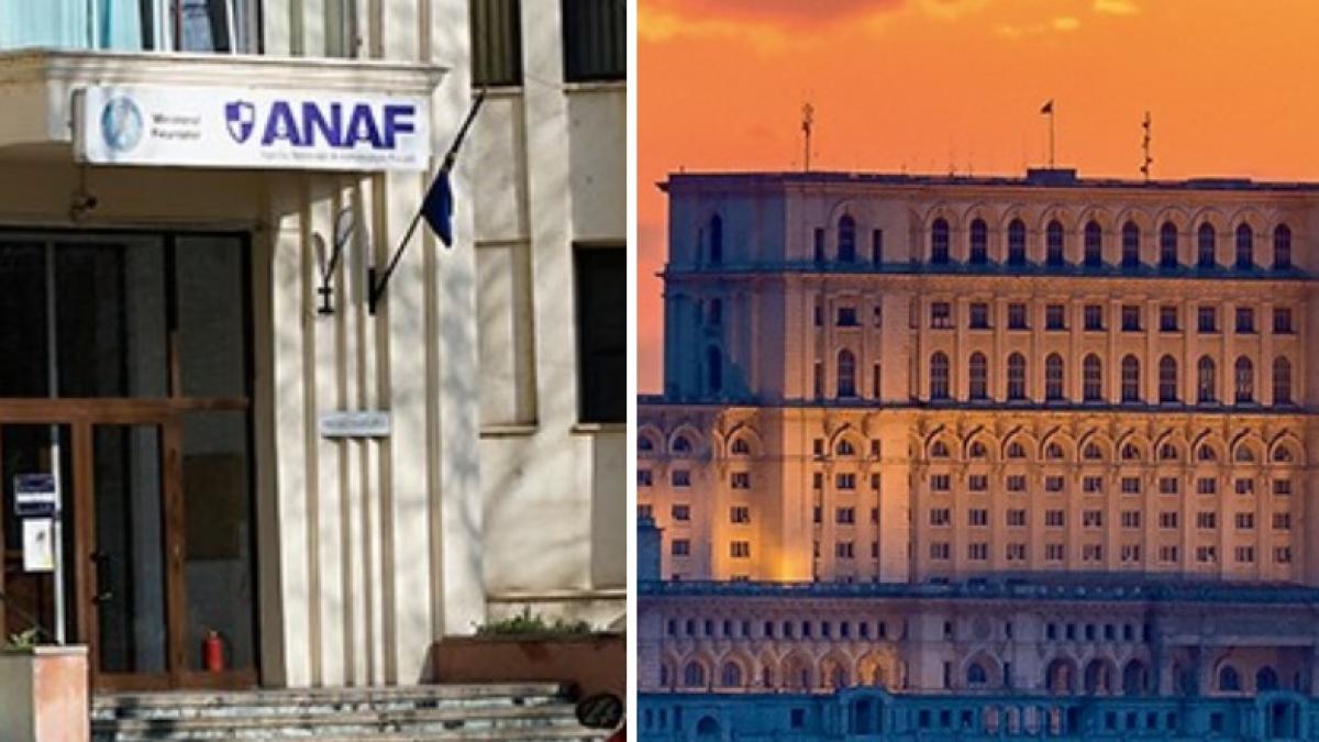 Sefa ANAF audiate in Parlament despre evaziunea fiscala
