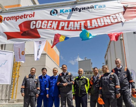 Centrala de cogenerare a rafinariei Petromidia a fost inaugurata