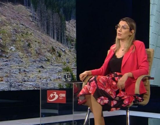 Diana Buzoianu 99 directori Romsilva 22 milioane lei salarii lunar