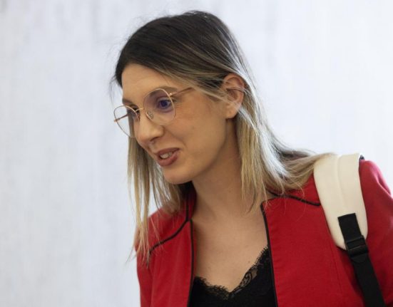Diana Buzoianu despre frontierele intre ministere in aceeasi cladire