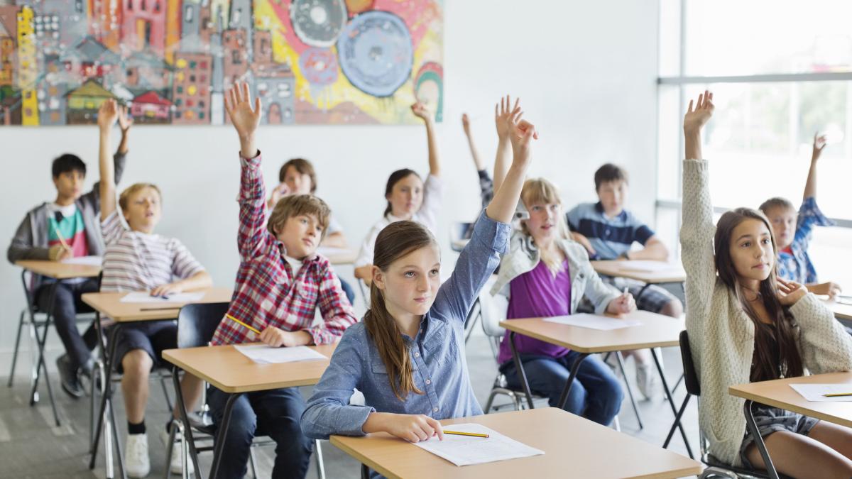 Lideri PSD critica tairea burselor elevilor si studentilor
