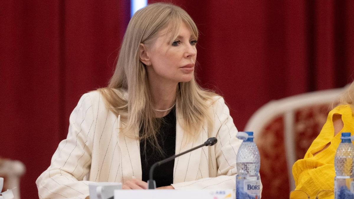 Nicisor Dan somat de vicepresedinta PSD pentru legea