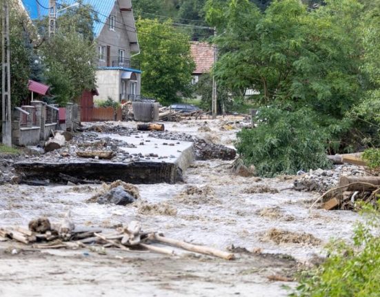Nicususor Dan Sunt profund afectat de pierderile de vieti