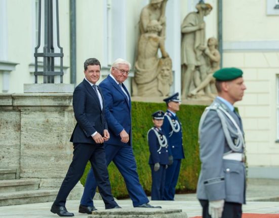 Presedintele Nicusor Dan a avut intalniri importante in Germainia