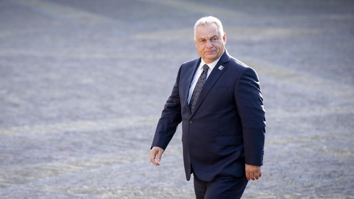 Viktor Orban se Intalneste cu Bolojan inainte de discurs