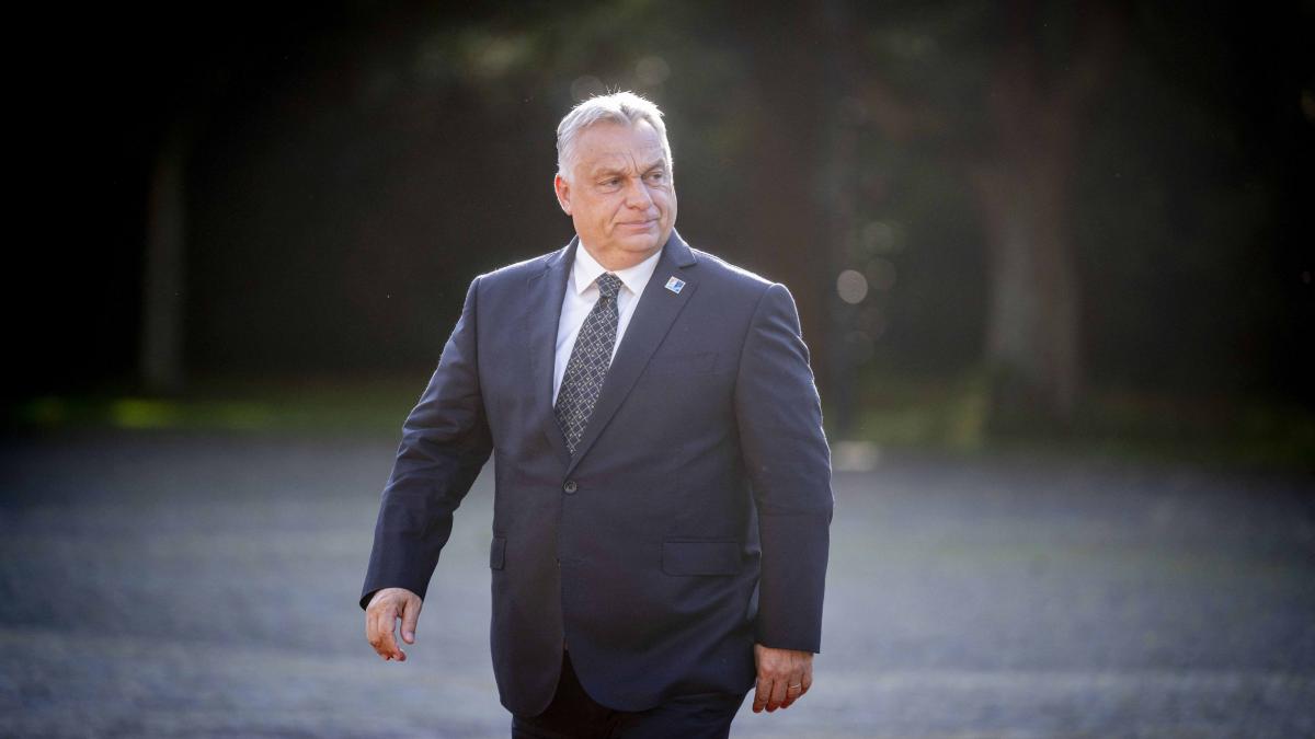 Viktor Orban vrea sa discute cu Nicusor Dan