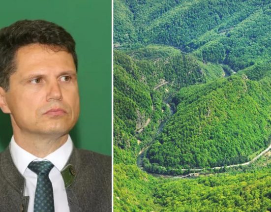 Milionarul de la Romsilva Danut Apostu si banii de la stat