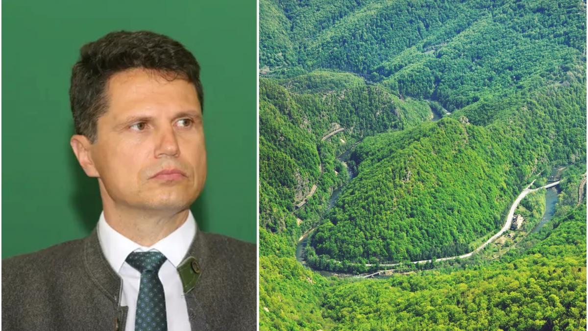 Milionarul de la Romsilva Danut Apostu si banii de la stat