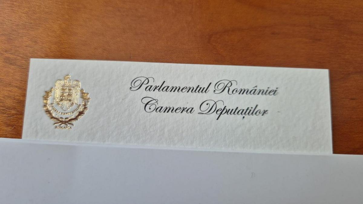 De ce o carte de vizita in Parlament costa de trei ori mai mult