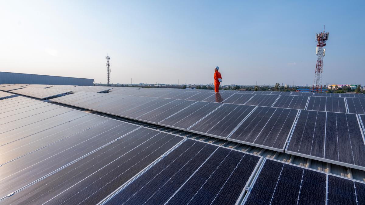 Diana Buzoianu Parc fotovoltaic mai ieftin decat hidrocentrale