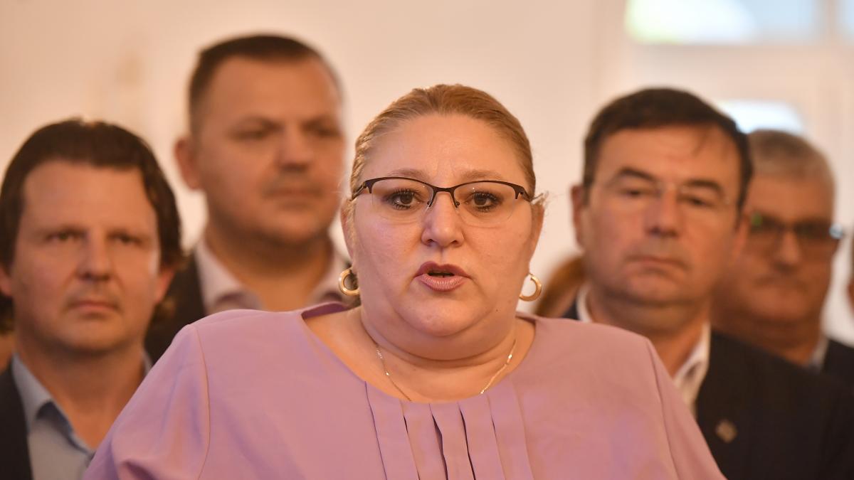 Diana Sosoaica invitata la Russia Today televiziunea lui Putin