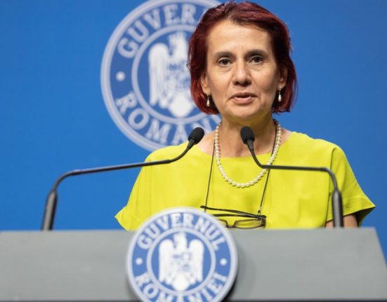 Ioana Dogioiu i a raspuns lui Grindeanu despre preturi