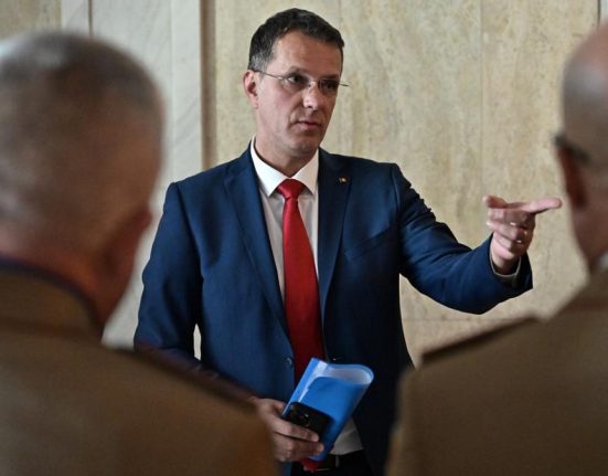 Ionutz Mosneanu condamna violarea spatiului aerian NATO de Rusia