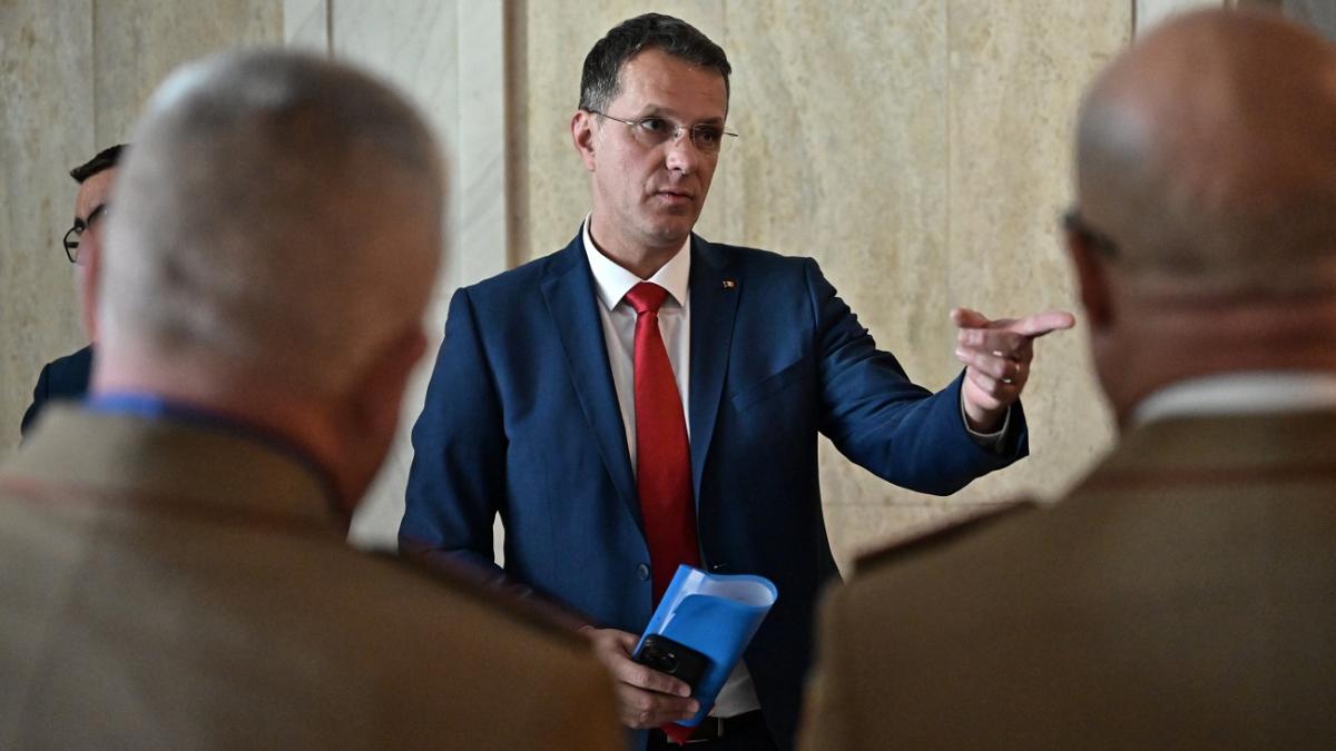 Ionutz Mosneanu condamna violarea spatiului aerian NATO de Rusia