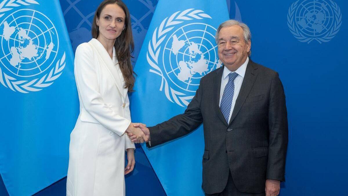 Oana Toiu mesaj la ONU Am tras un semnal de alarma