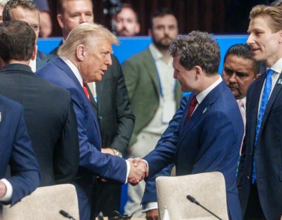 Nicuor Dan lauda planul lui Trump pentru Gaza