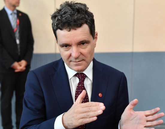 Ce functie i a propus Emil Constantinescu lui Nicusor Dan