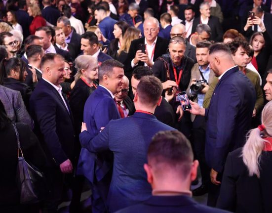 Ce n a fost vazut la Congresul PSD unghii rosii tinute de gala si mici