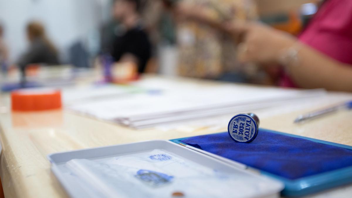 MAI campanie de informare inaintea alegerilor Nu fotografia buletinul de vot Este ilegal