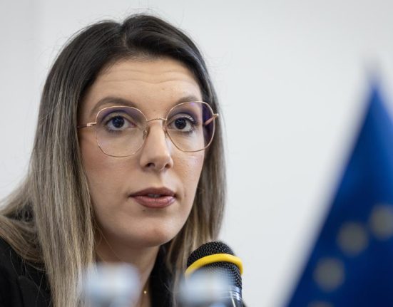 Ministra Mediului anunta succes la UE pentru preturi stabile