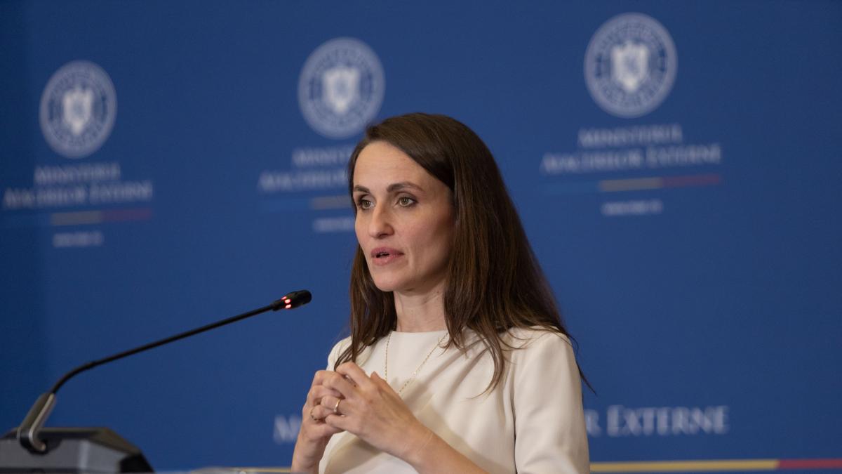 Oana Toiu Reducerea salariilor in MAE nu este realista