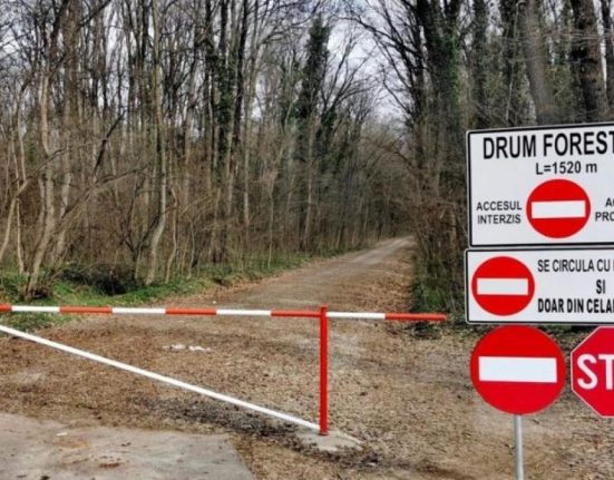 Corpul de Control trimis de Ministerul Mediului a incheiat verificarile referitoare la drumul forestier din