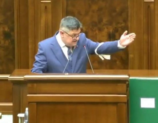 Daca nu il dati afara din sala il dau eu Scandal in plenul Senatului Ninel Peia a incercat sa