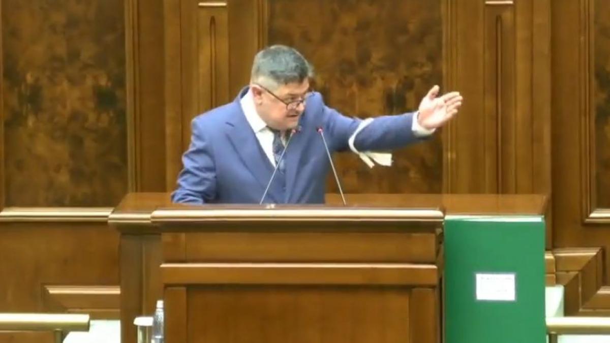 Daca nu il dati afara din sala il dau eu Scandal in plenul Senatului Ninel Peia a incercat sa