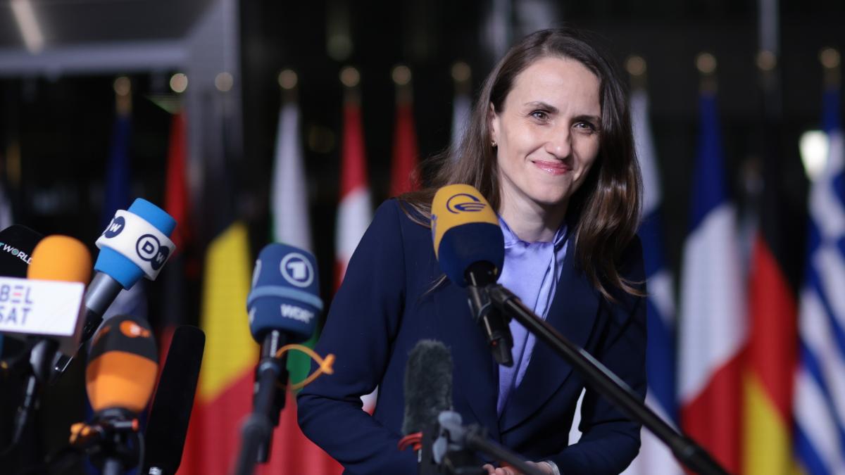 Oana Toiu a anuntat ca Romania se alatur programului european EastInvest Vrem sa stimulam cresterea economica