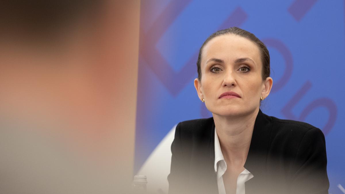 Oana Țoiu, în SUA: România își asumă o responsabilitate strategică în sectorul gazelor naturale 1 Oana Toiu in SUA Romania isi asuma o responsabilitate strategica in sect ului gazelor naturale