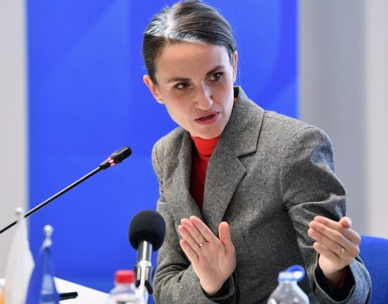 Oana Toiu prezenta la prima reuniune ministeriala dedicata mineralelor rare organizata la