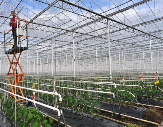 noi informatii despre taxa pe sere ministrul agriculturii termenele a fost prelungit proiectul va ajunge