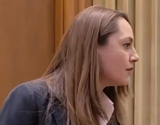 Anamaria Gavrila a avut o criza de nervi in plen si a strigat la o colega deputat Stai in banca