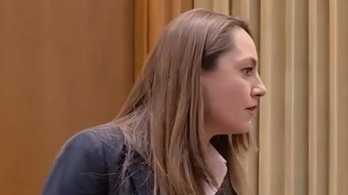 Anamaria Gavrila a avut o criza de nervi in plen si a strigat la o colega deputat Stai in banca