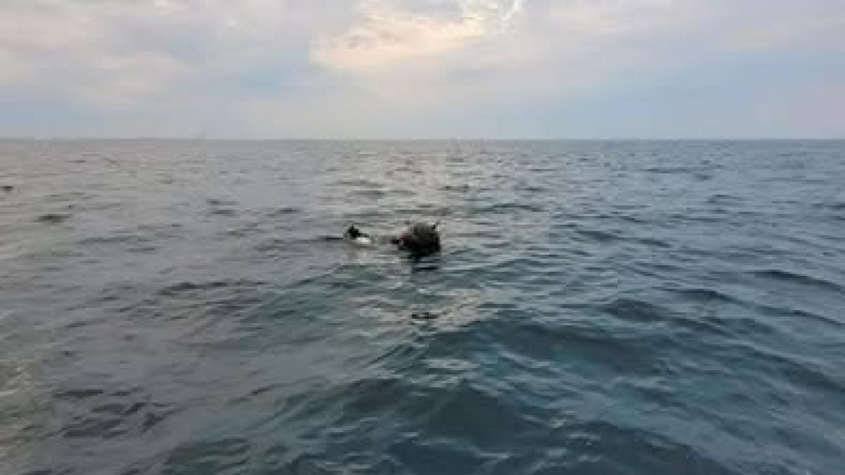 Disputa Romania Rusia privind originea minelor marine aflate in deriva in Marea Neagra Reactia MApN pentru