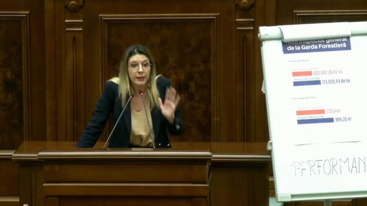 Motunea simpla impotriva Dianei Buzoianu a fost respinsa PSD nu a votat Bolojan a absentat Schimb dur de