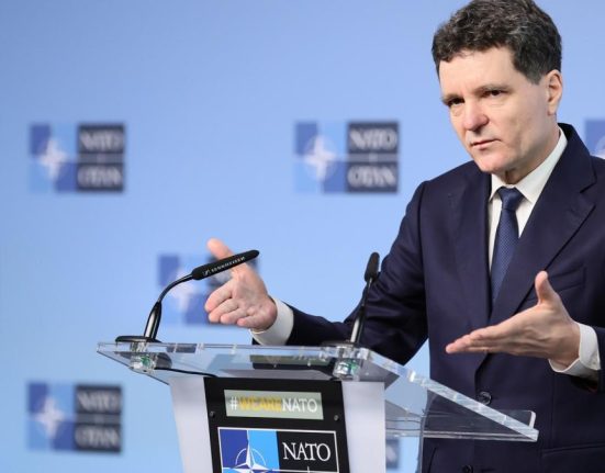 Nicuser Dan anunta ca Romania se alatura coalitiei format din 5 state europene si Japonia pentru